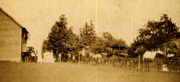MH-horse&surreys,fr.W
